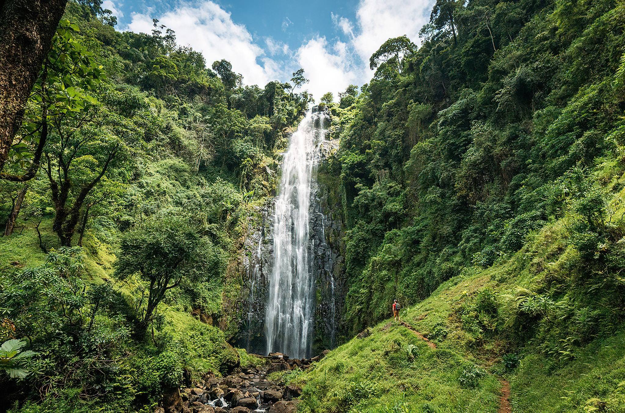 Waterfalls of Materuni & Coffee Tasting